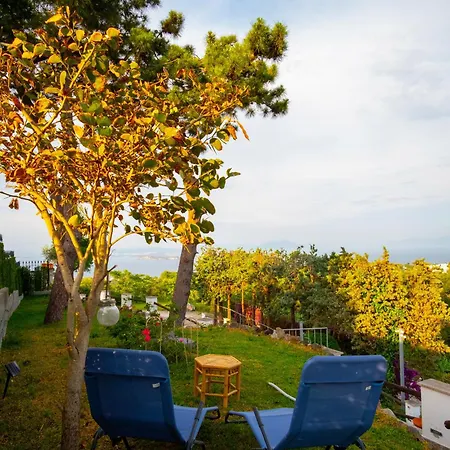 Holiday home Il Giardino Delle Rose Barano d'Ischia