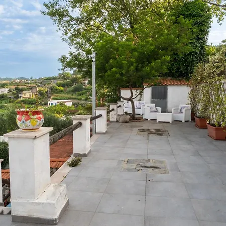 Il Giardino Delle Rose