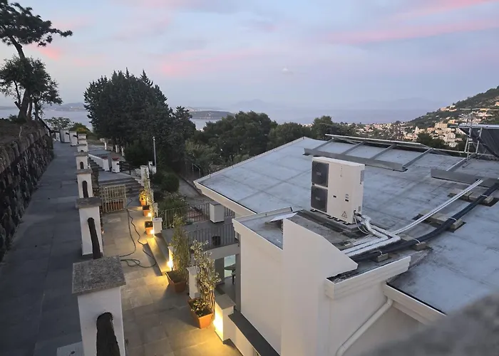 Il Giardino Delle Rose