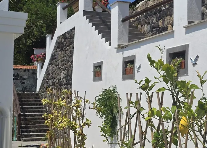Il Giardino Delle Rose *